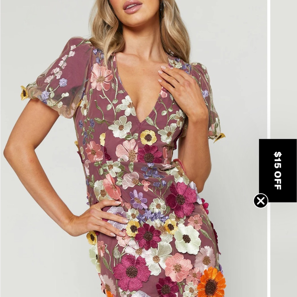 Wren Mini Dress Embroidered Floral V-Neck Dress